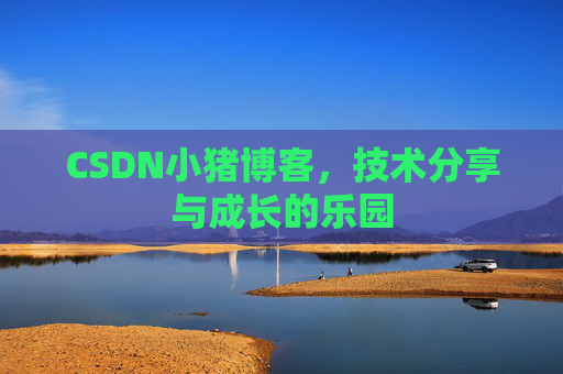 CSDN小猪博客，技术分享与成长的乐园