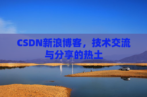 CSDN新浪博客，技术交流与分享的热土